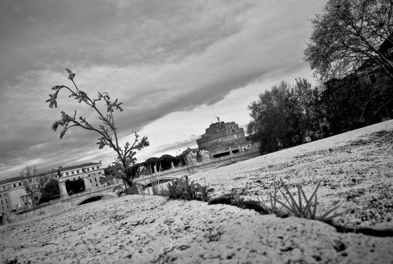 appartamento zona vaticano 2 Roma Esterno foto